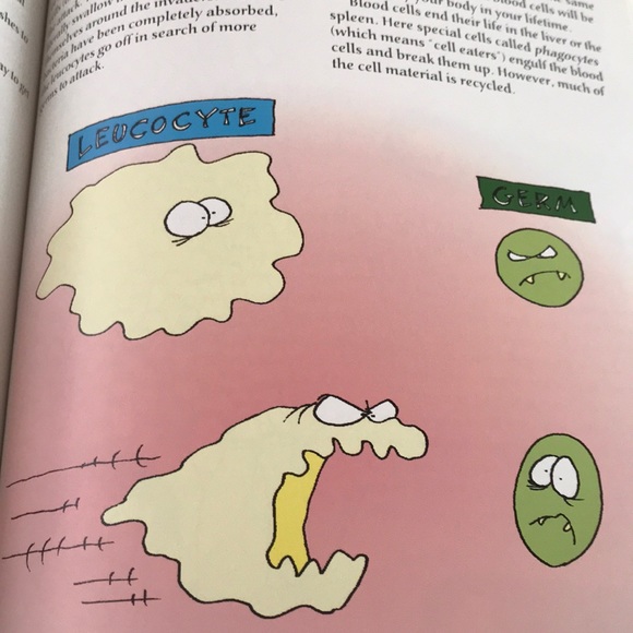 Fun Science for Kids - Picture 2 of 13